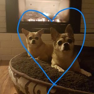 Meet your Posher, Tina